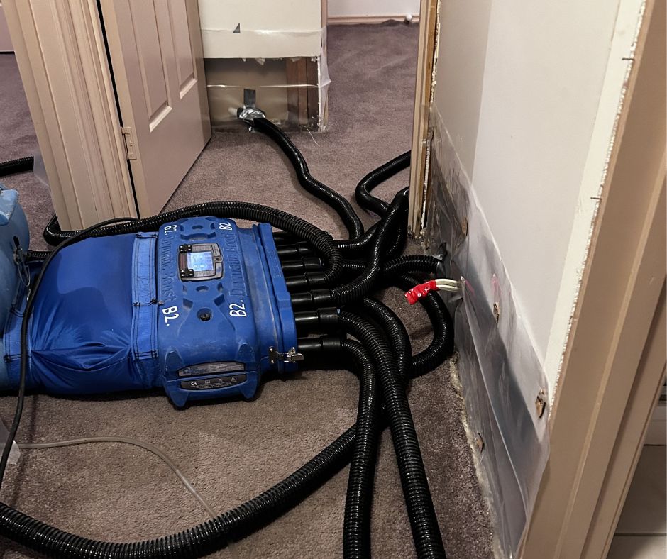 Flood & Fire Damage